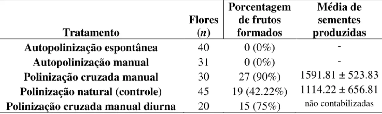 Tabela 2. Produção de frutos (%) e sementes para os tratamentos de polinização manual e polinização  natural (controle) em flores de Cipocereus crassisepalus