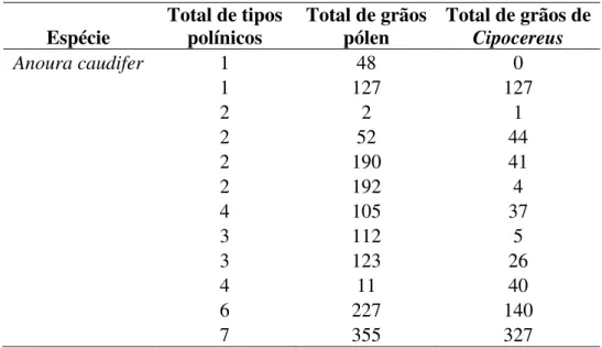 Tabela 4. Espécimes de Anoura caudifer amostrados, número de tipos polínicos e presença de grãos de  pólen de Cipocereus aderidos a seus corpos