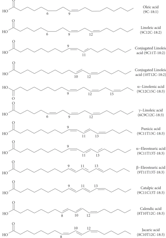 Figure 1. Structures of geometric and positional isomers of CFAs (adapted of TRAN et al., 2010).