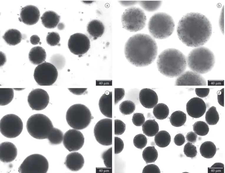Figure 1. Micrographies of moist microparticles with and without crosslinking containing paprika oleoresin/soybean oil, optical microscopy
