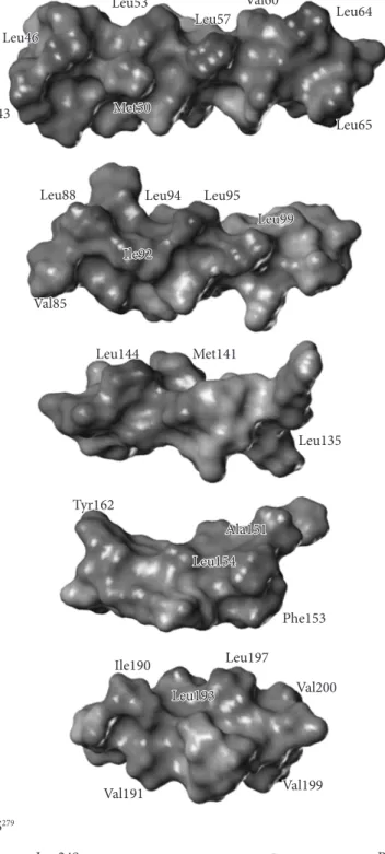 Figure 2. Helical-wheel representations of sequences and lipophilic potential surfaces of common epitopes in the models of tropomyosins