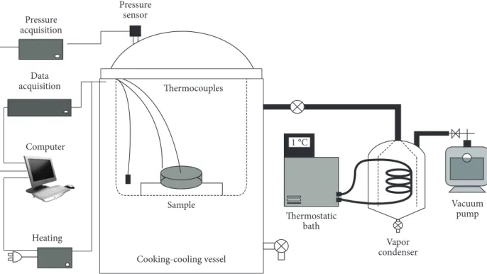 Figure 1. Experimental device used for investigating different strategies for integrating cooking and vacuum cooling of carrots in a same vessel.