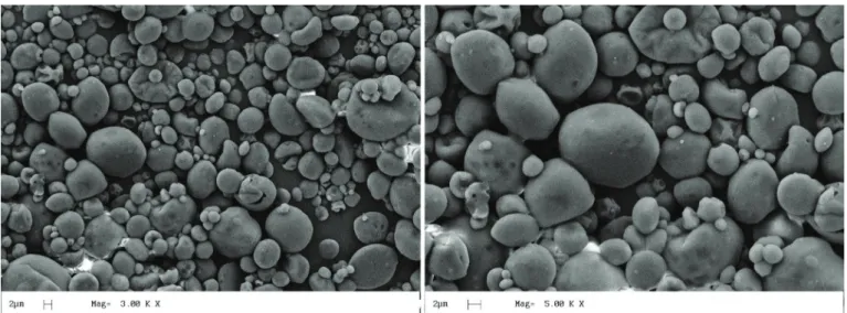Figure 3. Micrographs of spray-dried babassu coconut milk formulated with 15% Arabic gum