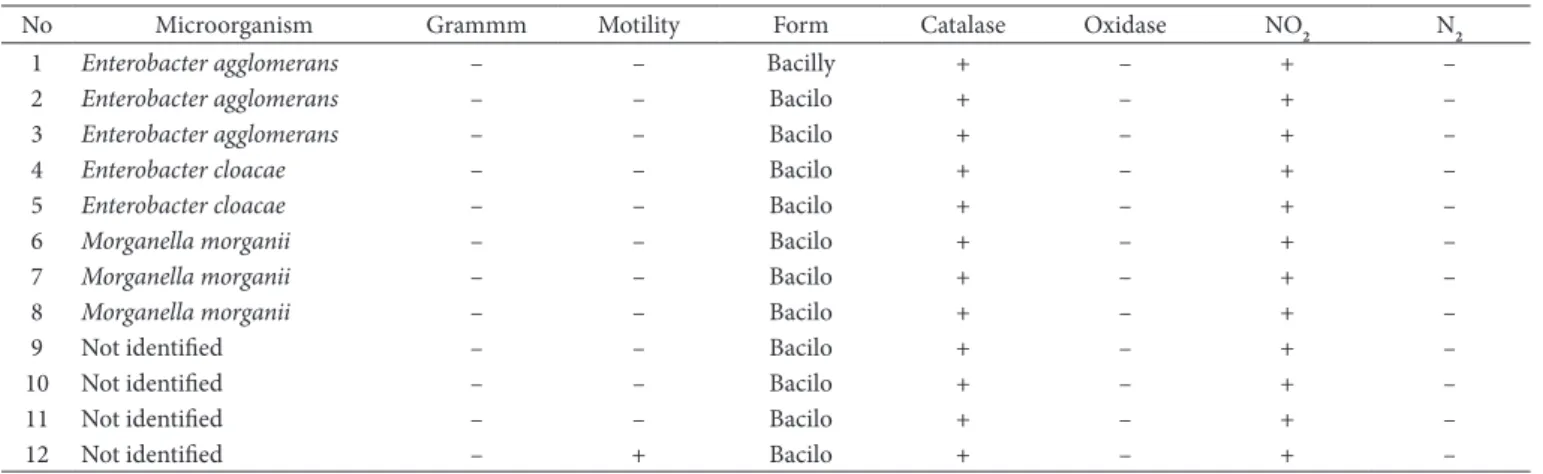 Table 2. Microorganisms identified using the API 20E kit and biochemical tests.
