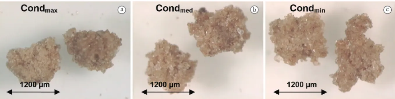 Figure 5. Particle size distribution of the cocoa beverage powder  granules at the process conditions: Cond min  (a), Cond med  (b), and  Cond max  (c).
