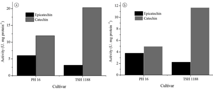 Figure 5. Determination of PPD activity for the preferential substrate: catechin and epicatechin