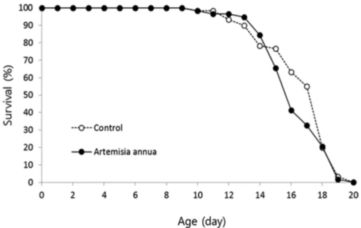 Figure 5. The effect of A. annua extract on the lifespan of C. elegans. 