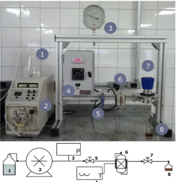 Figure 1. Schematic diagram of the PLE experimental apparatus. 