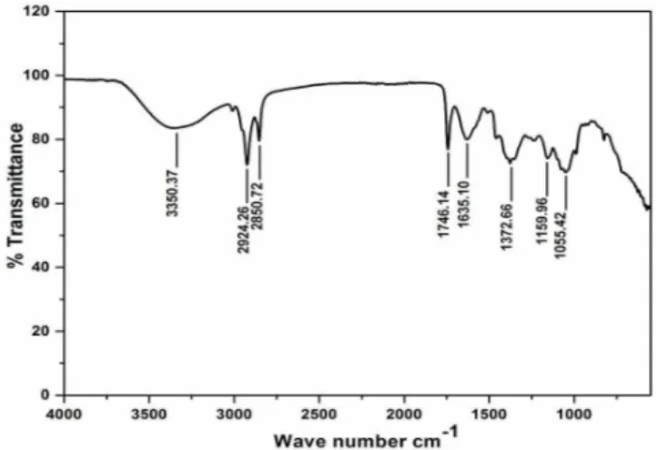 Figure 1. FT-IR spectra of methanol fruits extract of E. elaterium.