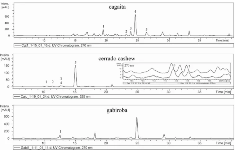 Figure 2. Chromatogram obtained by HPLC of flavonoids from cagaita, cerrado cashew and gabiroba (270 nm), and of anthocyanins from  cerrado cashew (525 nm)