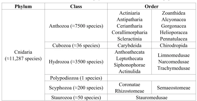 Table 1. Classes and orders in the phylum Cnidaria followed in this paper. 