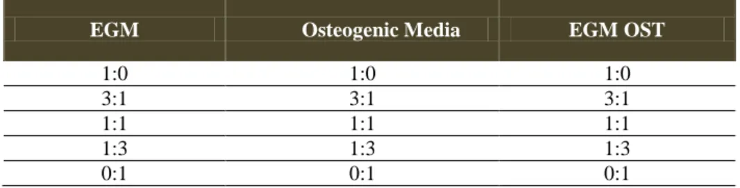 Table  3.  Co-culture  set-up  for  cell  ratio:  all  the  proportions  corresponds  to  the  ratio  SSE4 + hASCs  OBs  :  SSEA4 + hASCs derived ECs