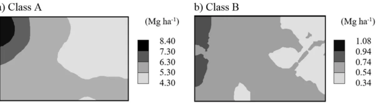 Figure 4. Spatial distribution of fuel material deposition in classes A and B in a pine stand.
