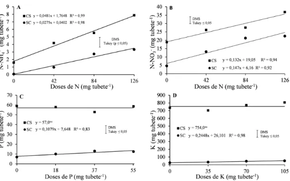 Figura 4. Total de N, na forma de amônio (N-NH 4 + ) (A) e nitrato (N-NO 3 - ) (B), de P (C) e de K (D) no lixiviado  proveniente do composto de dejetos de suínos (CS) e do substrato comercial (SC) em função das doses de nutrientes  aplicadas via osmocote 