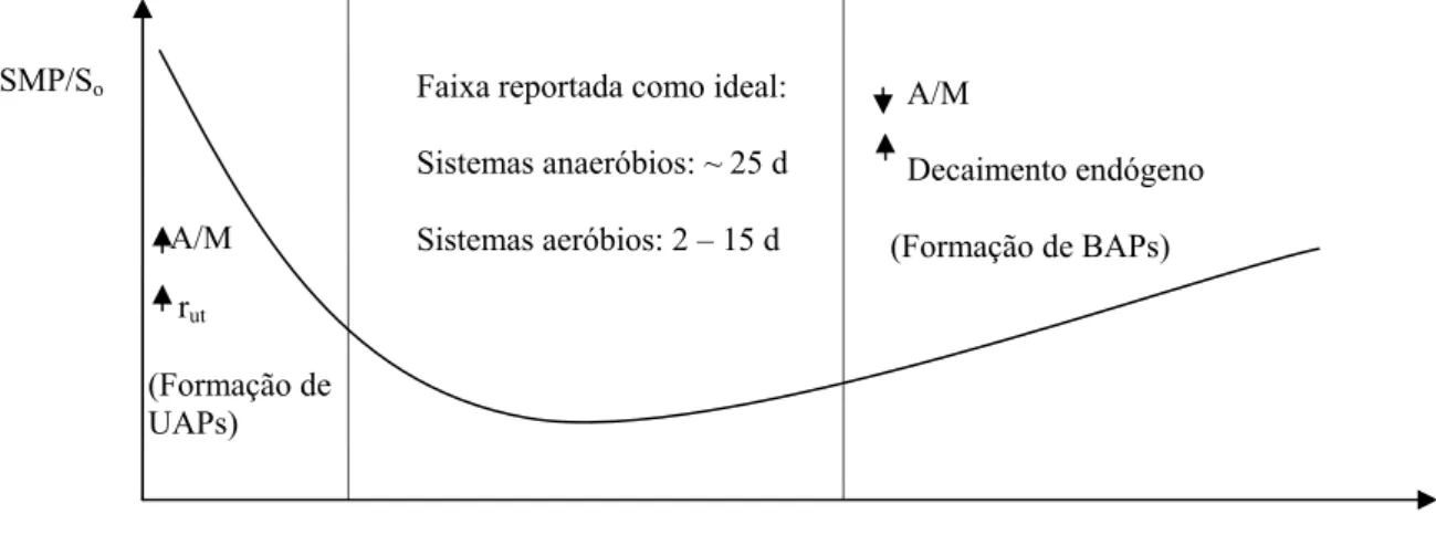 Figura 3.4 – Produção de SMPs em função da idade do lodo. Fonte: Aquino (2003). 