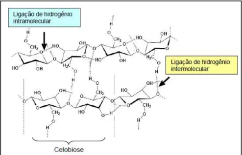 Figura 2 – Estrutura química da celulose (Morais, 2005). 