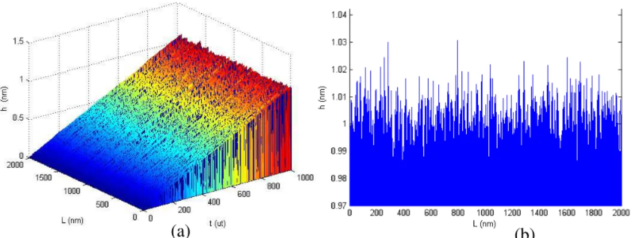 Figura 4.5: Interfaces RD1D com comprimento L = 2000nm e  0 ≤  t  ≤   1000ut, a cada unidades  de tempo (ut = 0,001) foram depositadas 2000 partículas; (a) Formação das Interfaces em 