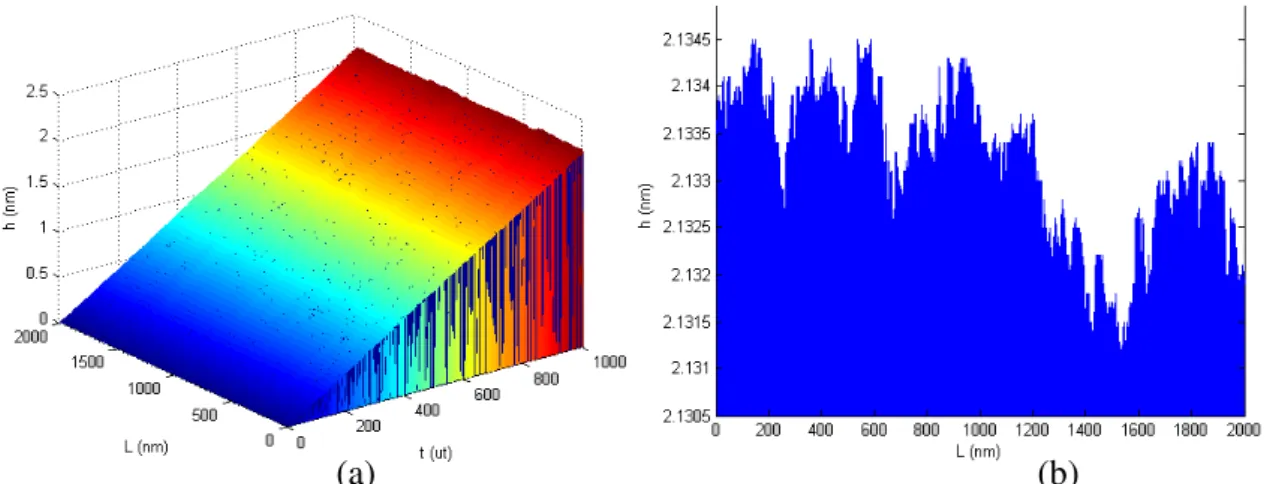 Figura 4.7: Interfaces BD1D com comprimento L = 1000nm  e 0 ≤ t ≤   1000ut, a cada  intervalo de tempo (ut = 0,0001) foram feitas 2000 deposições; (a) Formação das Interfaces 