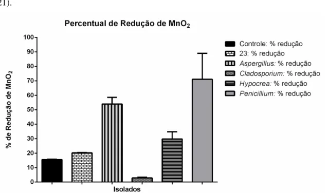 Figura  20:  Redução  de  MnO 2  por  fungos  filamentosos:  A  figura  mostra  a  porcentagem  de  redução de MnO 2  ao fim dos 35 dias de experimento