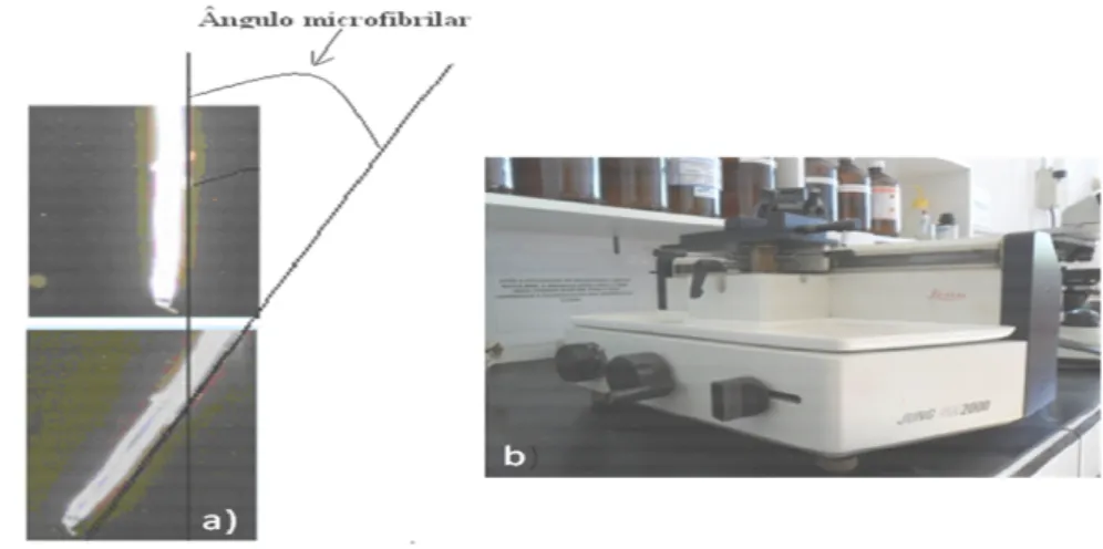Figura 4.6: (a) Observação do ângulo microfibrilar em microscópio de luz polarizada (Ferreira, 2007) com  aumento de 200x e, (b) micrótomo utilizado para corte histológico da amostra