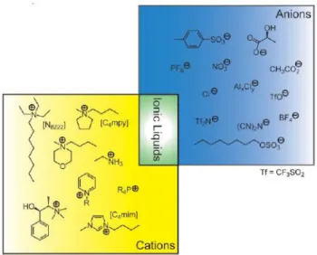 Figure 1.6.2: Representative cations and anions used as building blocks in IL formulation