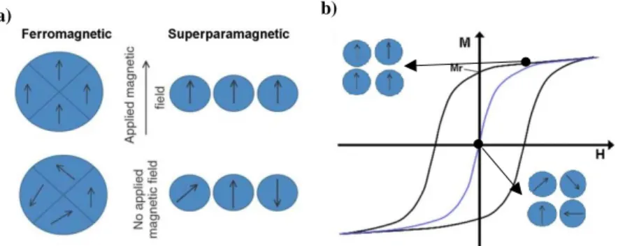 Figure  1.3  a)  Multidomains  and  monodomains  representation  under  application  and  absence  of  a  magnetic  field