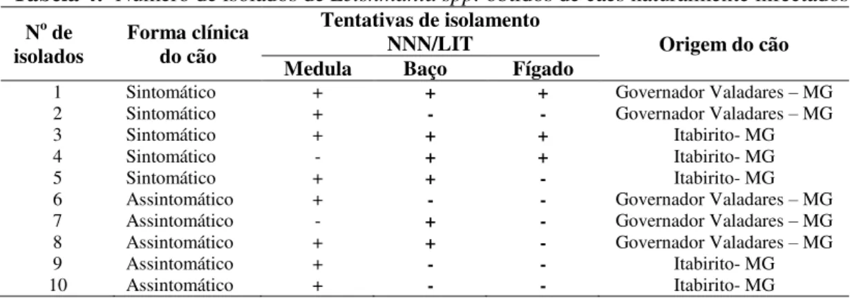 Tabela 4:  Número de isolados de Leishmania spp. obtidos de cães naturalmente infectados   N o  de 