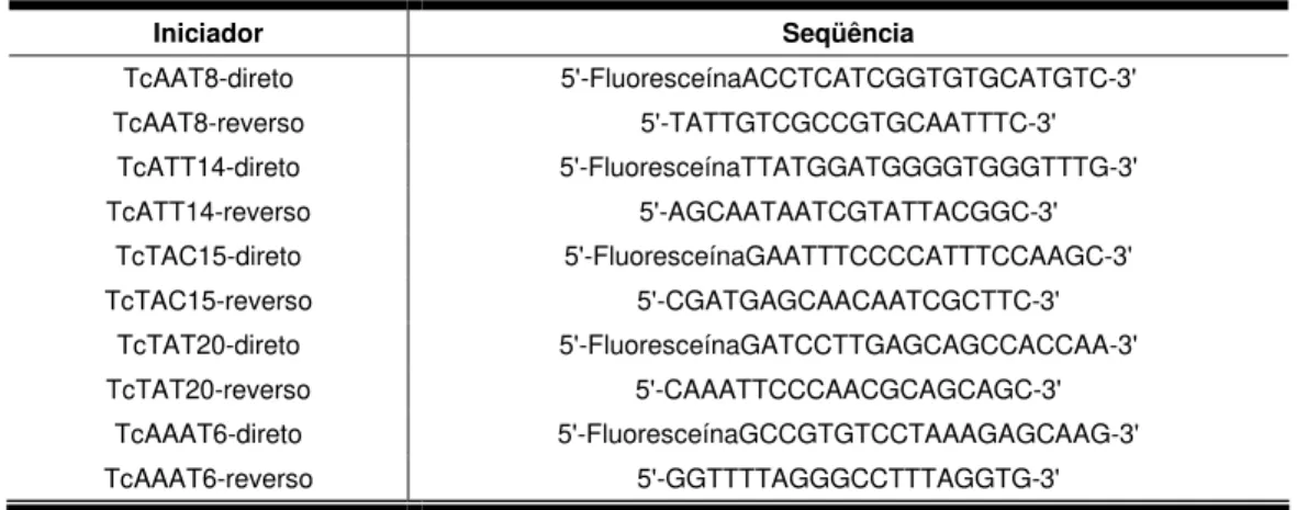 Tabela  III  -  Seqüências  dos  iniciadores  de  microssatéltes  utilizadas  na  caracterização  molecular  de  amostras  de  Trypanosoma  cruzi  isoladas  de  crianças e de suas mães habitantes dos municípios de Berilo e José Gonçalves  de Minas, Vale do