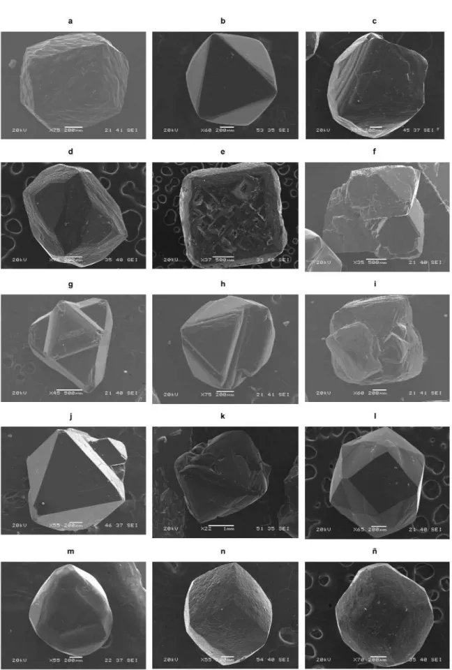 Figura 3: Micro- Micro-fotografías de  algu-nas variedades  mor-fológicas de los  dia-mantes estudiados, obtenidas mediante SEM
