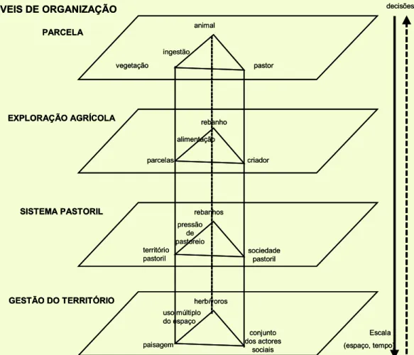 Figura 1.  Organização e  gestão do espaço nos sistemas  pastoris. (Adaptado de Balent e  Stafford Smith, 1993)