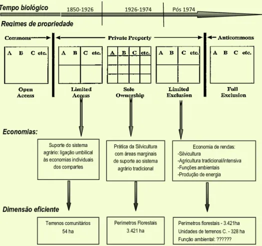 Figura 2. Transição da titularidade da propriedade comunitária nos três períodos de     análise: as economias dominantes e a dimensão eficiente