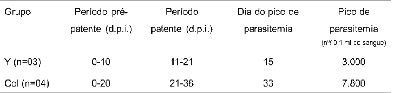 Tabela  3.  Valores  da  parasitemia  no  sangue  periférico  de  cães  infectados  com  as  cepas  Y  ou  Colombiana do Trypanosoma cruzi