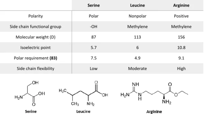Table 3.1 Principal characteristics of amino acids involved in this study 