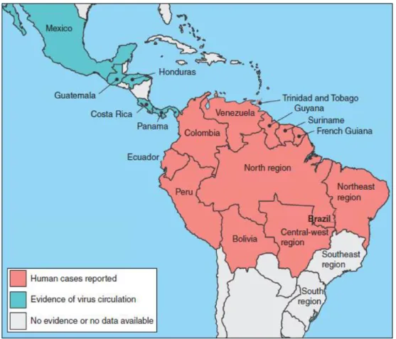Figura 4: Distribuição do MAYV nas Américas. Fonte: Mota et al., 2015. 12 2.4- Mayaro virus (MAYV)  