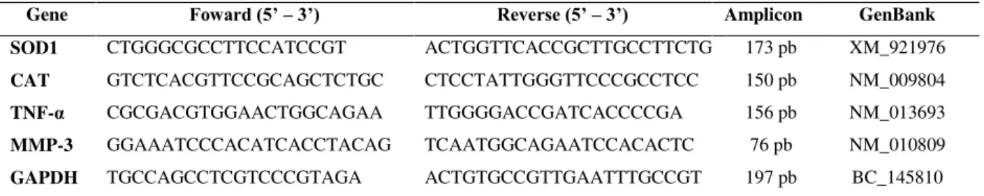 Tabela IV: Sequência dos oligonucleotídeos iniciadores, tamanho esperado do amplificado e número  de acesso no GenBank 