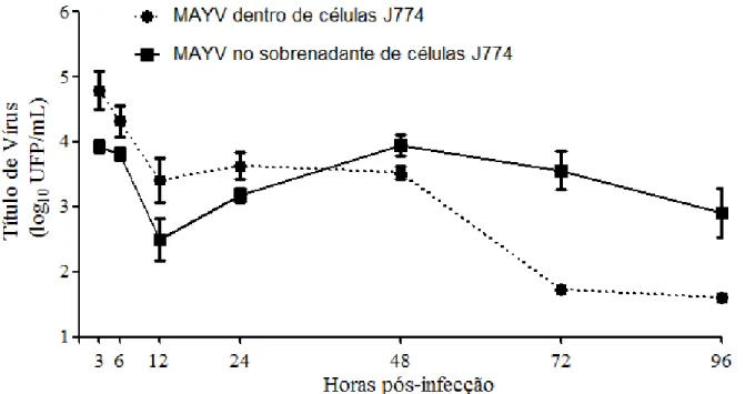 Figura 8: Curva de multiplicação do MAYV em células J774. Células J774 foram infectadas com o  MAYV  com  uma  moi  de  5