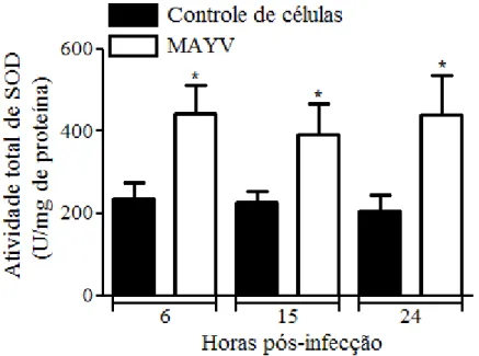 Figura 10: MAYV aumenta a atividade da enzima Superóxido Dismutase em células J774. Células  J774 foram infectadas ou não com o MAYV (moi de 5) e 6, 15 e 24 hpi foi feita a dosagem da atividade  da  enzima  SOD