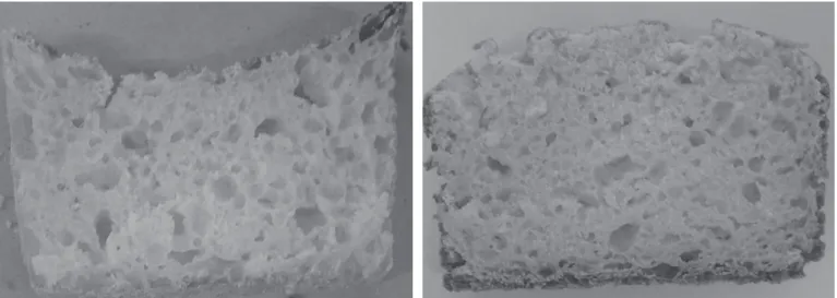 Figure 3. Samples of the two best points.