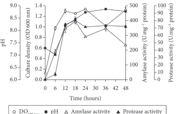Figure 1. Time course of protease and α-amylase production by  Bacillus sp. strain SMIA-2 grown at 50 °C on soluble starch (0.25% 