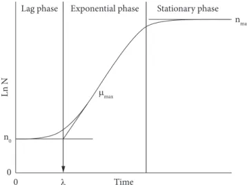 Figure 2. Procedure used for deriving the duration of the lag phase  (parameter λ in Figure) (SWINNEN et al., 2004).