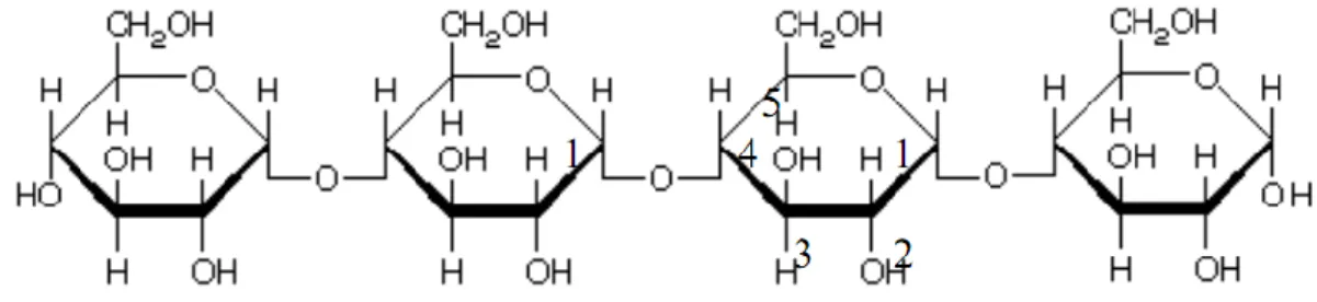 Figura 4-Estrutura exemplificativa da amilose (Alex, 2001) 