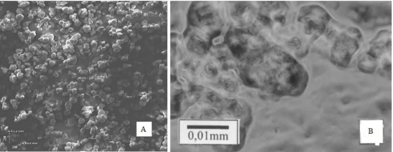 Figura 11- Microscopia eletrônica de varredura; A) grânulos de amido de milho a 25 ºC,  B) grânulos de amido de milho a 75°C (Adaptado de Souza e Andrade, 2000) 