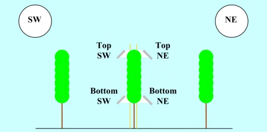 FIGURE 4. Schematic of wetness sensors positions in the grapevine (Top-NE, Bottom-NE, Top- Top-SW and Bottom-Top-SW)