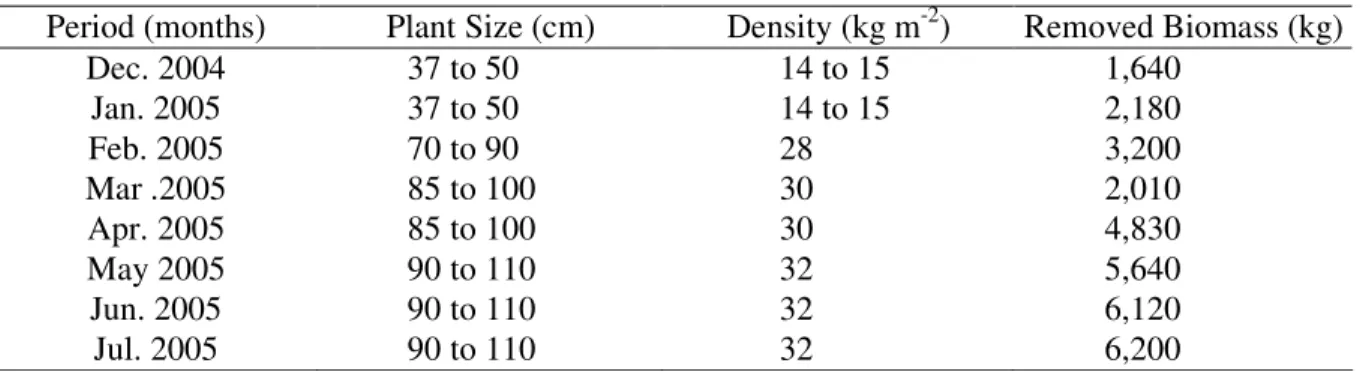 TABLE 1. Plant development, maintained densities and monthly removed biomass. 