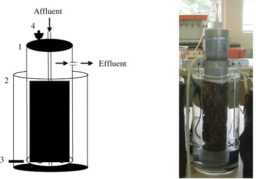 FIGURE  1.  Configuration  of  the  reactors  used  to  the  sludge  samples  inoculation