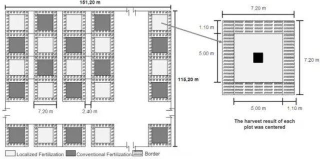 FIGURE 1. Sketch of the research area, showing the stratified aligned systematic sampling