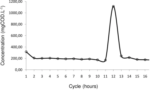 FIGURE 4. Organic matter consumption (COD) profile. 