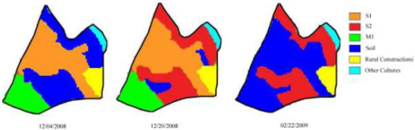 FIGURE  2.  Sketch  of  the  agricultural  area  monitored,  with  cultures  of  soybean  and  maize  at  different vegetative phases of soybean and soil with different covers
