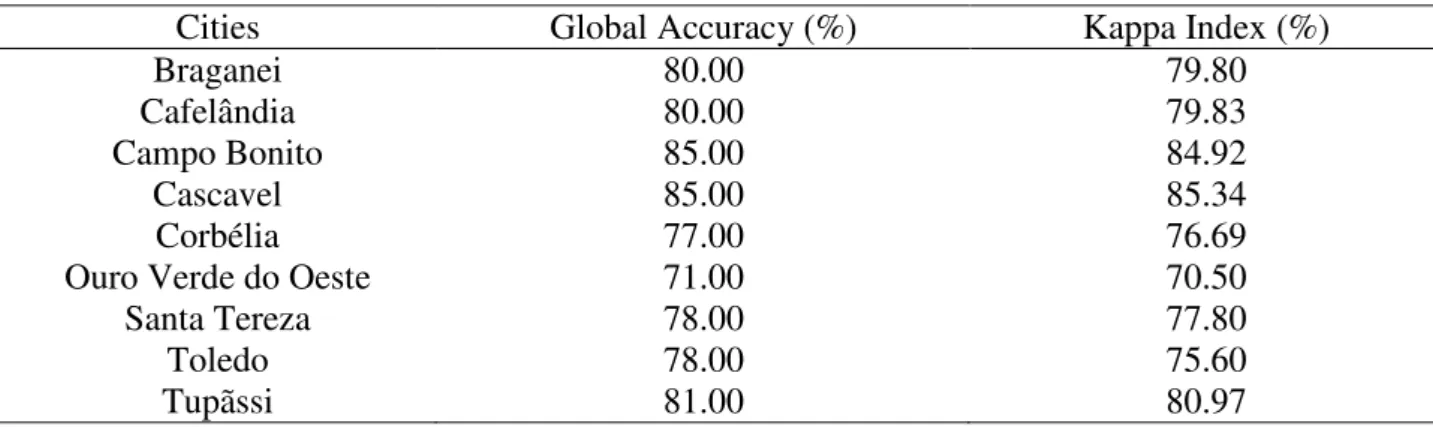 FIGURE 8. Final Soybean Mask for the crop of 2008/2009 in the cities studied. 