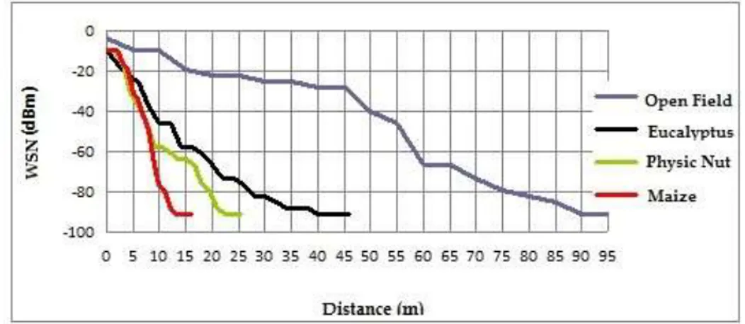 Figure 7 shows comparative curves of the intensity of the signal received in the open field and  in maize, physic nut and eucalyptus